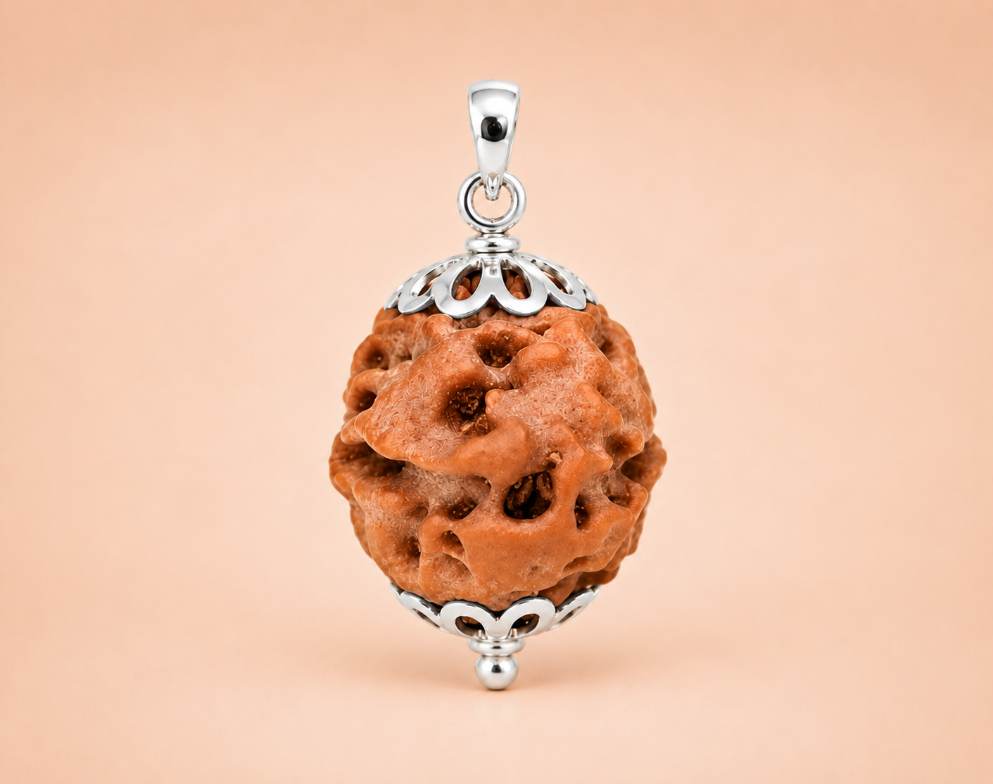 2 Mukhi Rudraksha ( Indonesian  Origin)